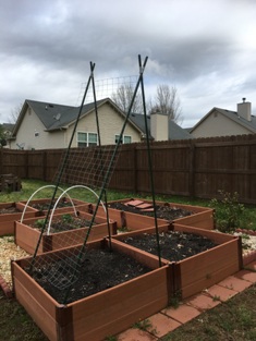 My Trellis