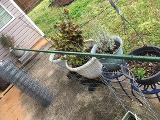 lay pole on fence to measure where to cut