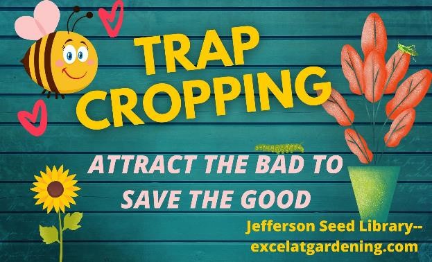 Trap Cropping