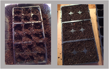 Filling containers with seed starting mix