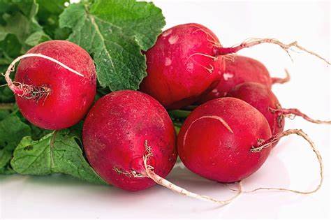 radishes