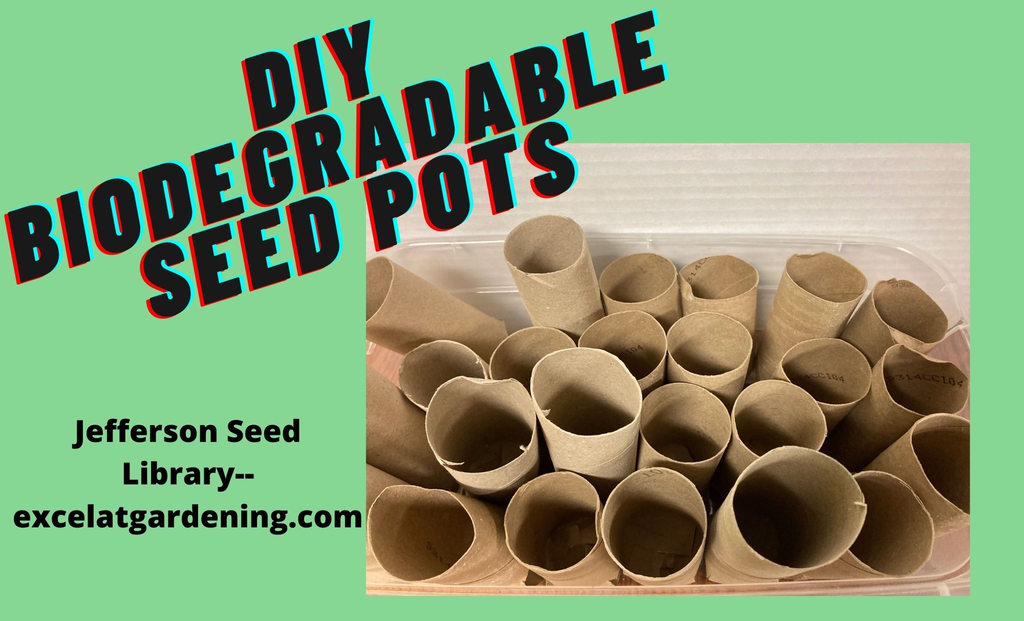 Starting Seedlings - excelatgardening.com