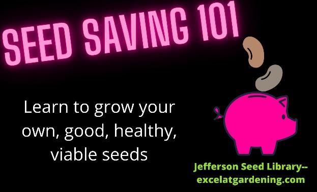 Seed Saving 101