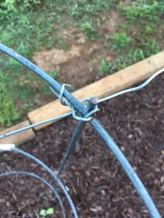 Wired tomato cage