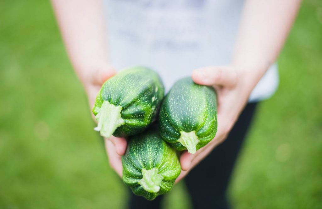 Zucchini