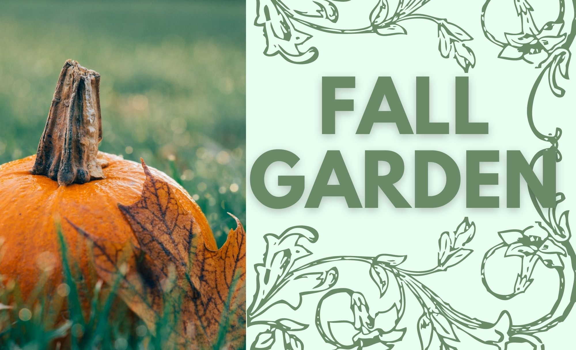 Planting a fall garden