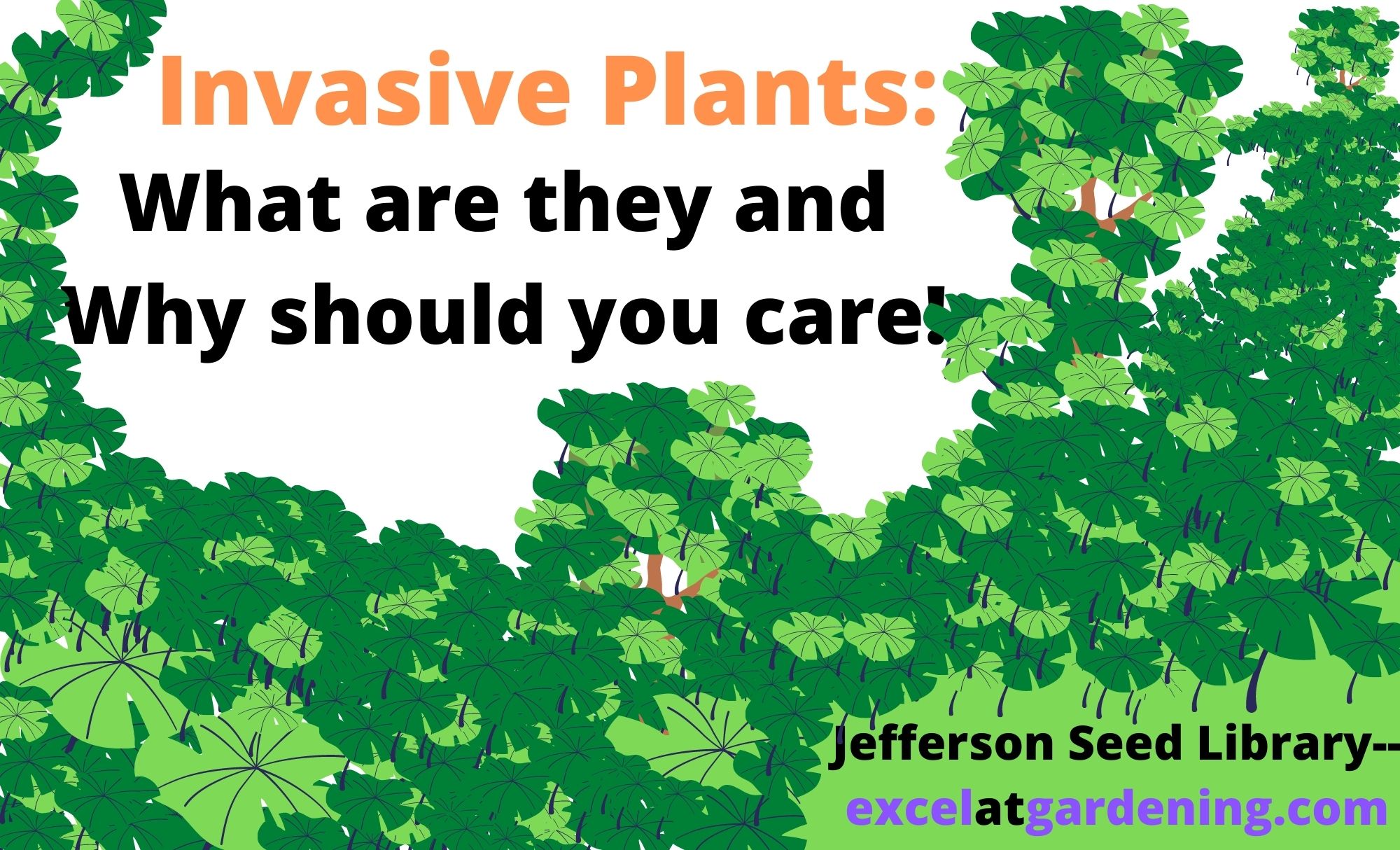 Invasive Plants