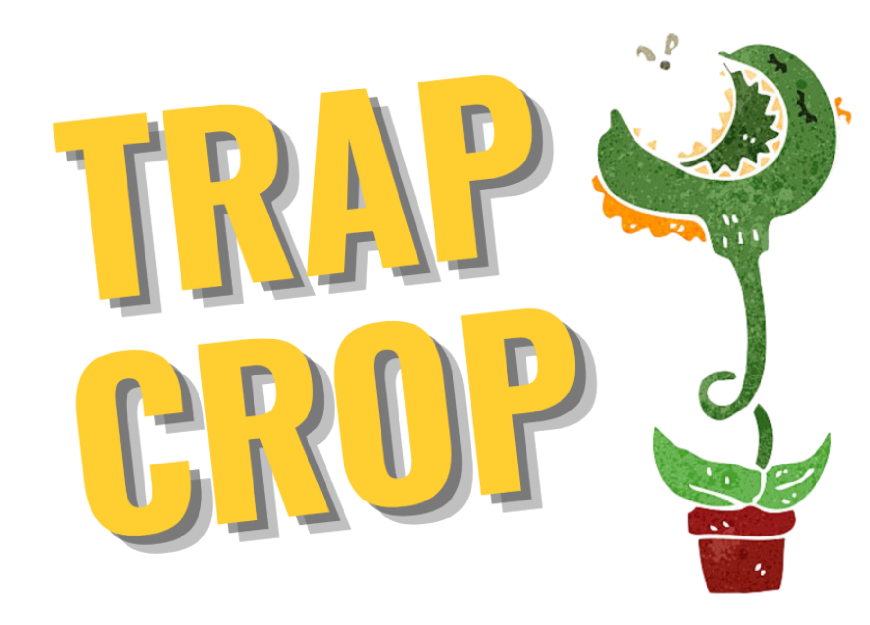 Trap Crop
