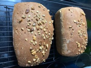 My Whole Wheat Bread with Black Walnuts Picture by Elizabeth Jones