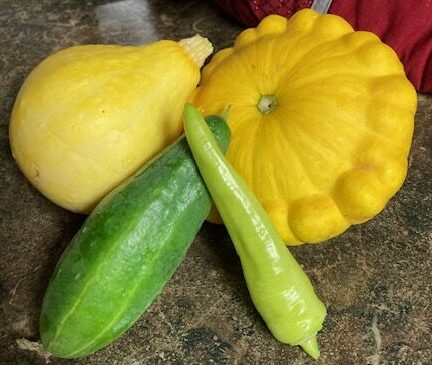 The first of my harvest. Lemon squash, patty pan squash, cucumber, banana pepper