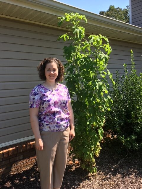 My Giant 9+ foot tall Mexican Sunflower. Picture by Elizabeth Jones