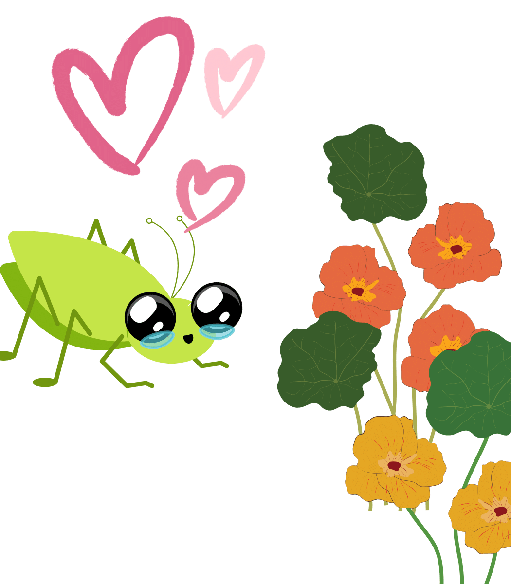 Insects love some plants more than others