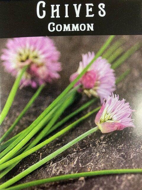 Chives Common