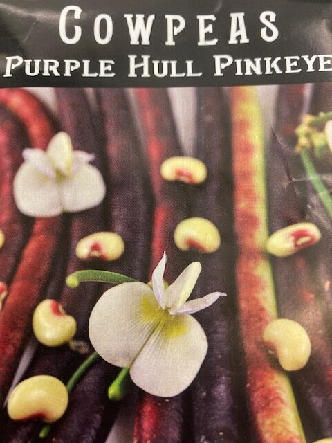 Cowpea Purple Hull Pinkeye