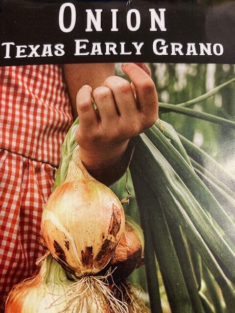 Onion Texas Early Grand