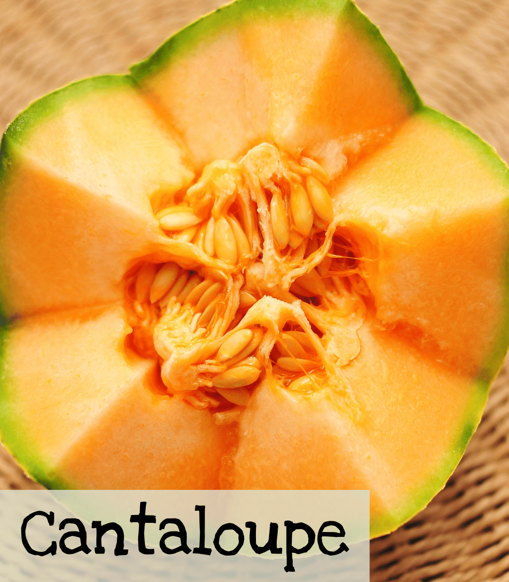 Cantaloupe