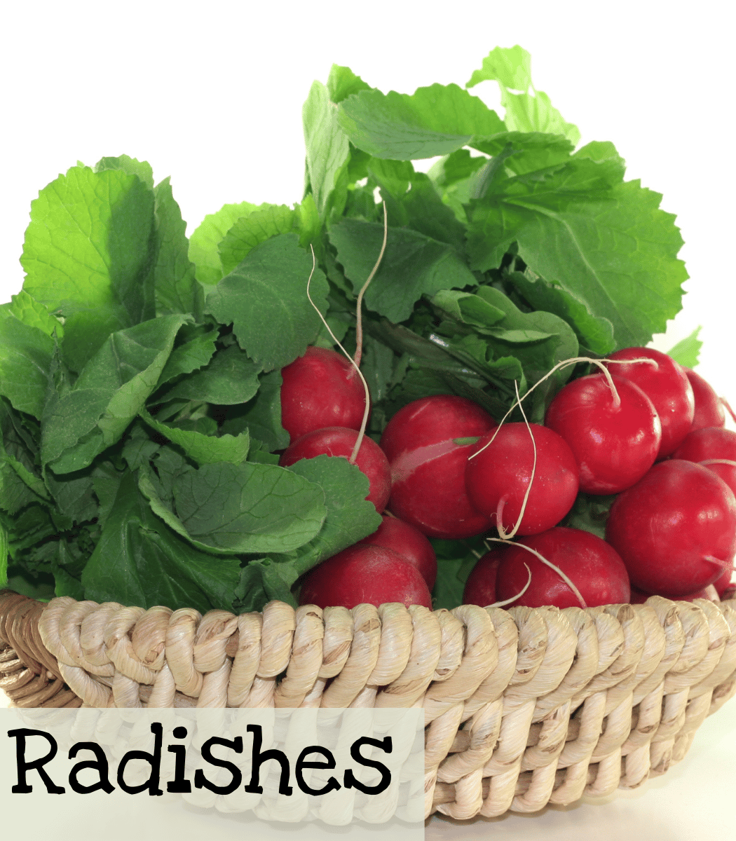 Radishes