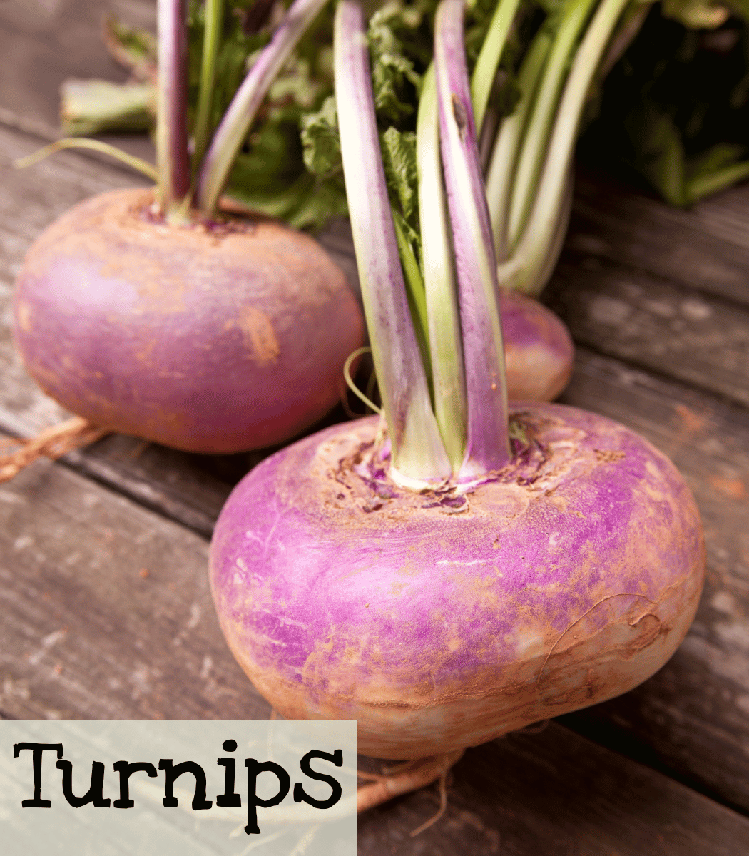 Turnips