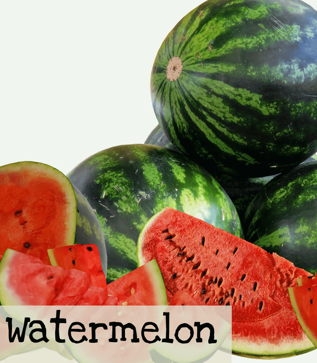 Watermelon