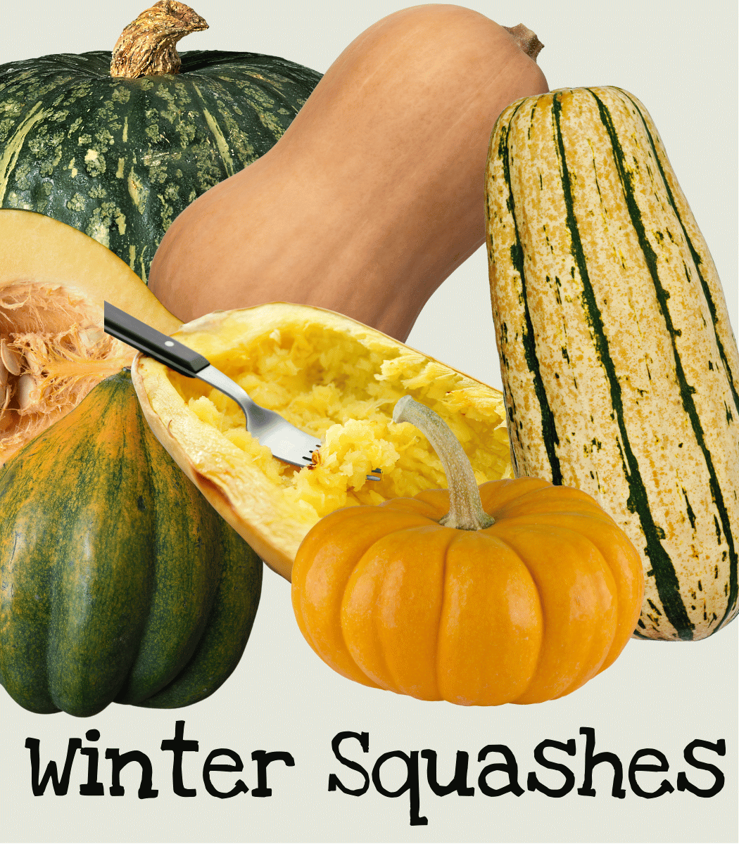 Winter Squashes