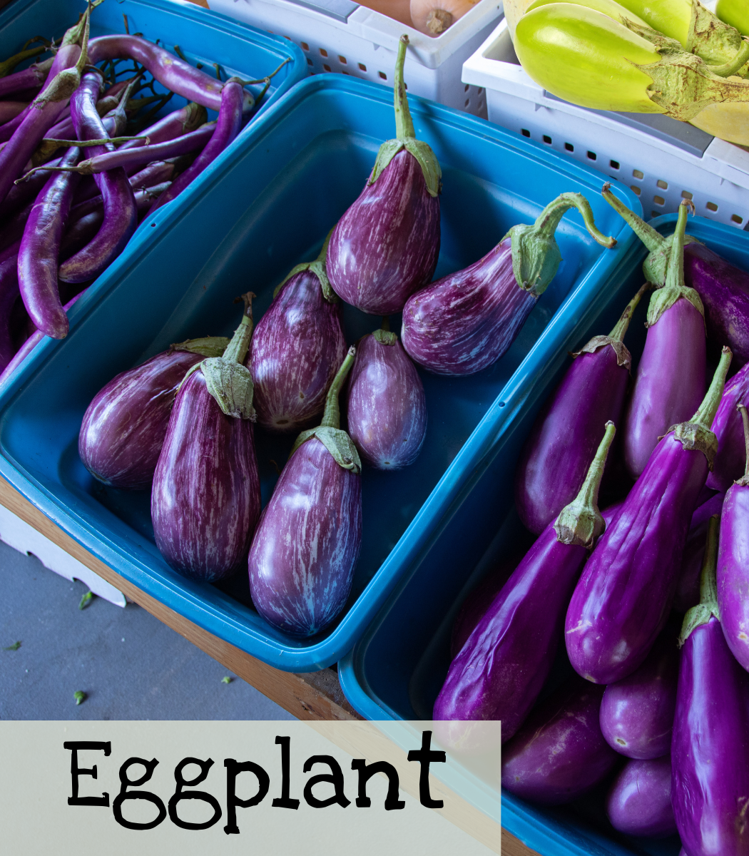 Eggplant