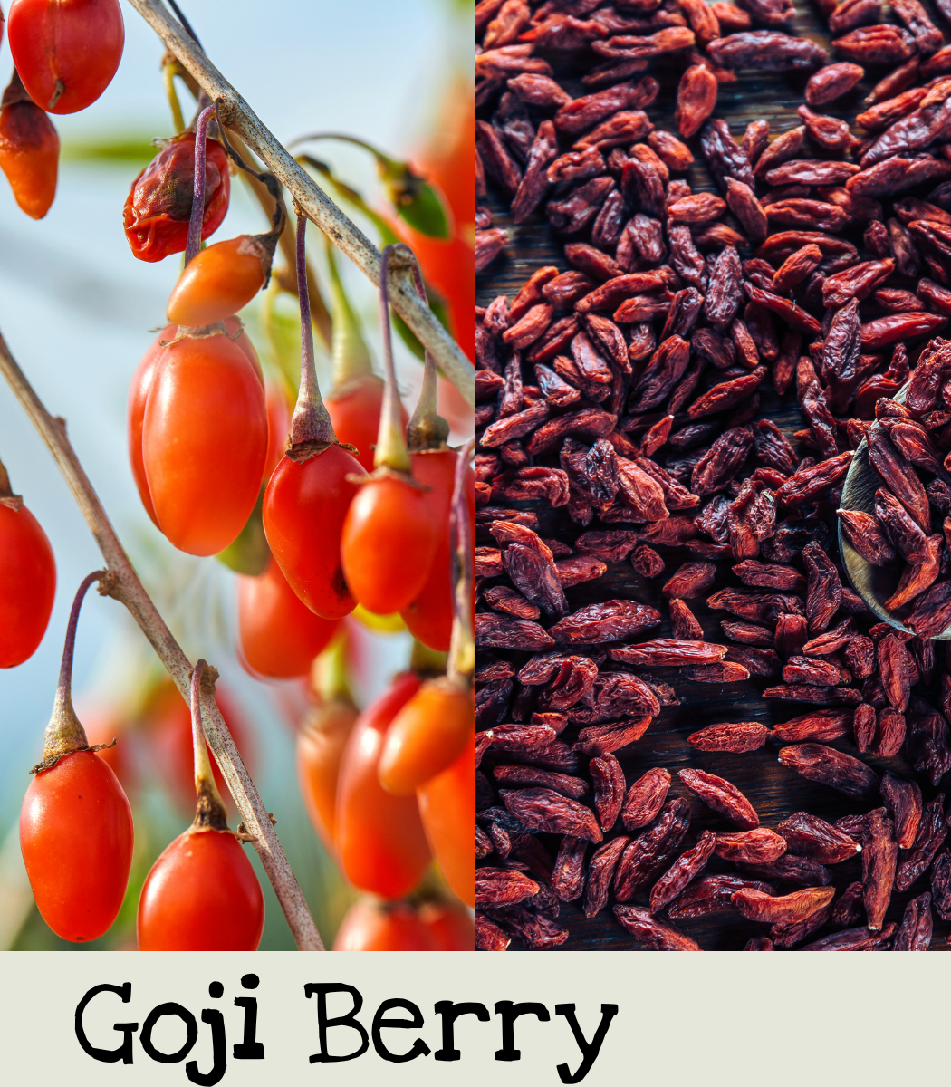 Goji Berry