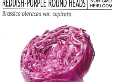 Cabbage, Red Acre