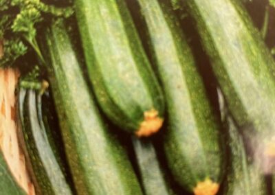 Zucchini, Dark Green