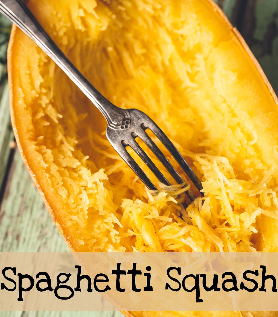 Spaghetti Squash - excelatgardening.com
