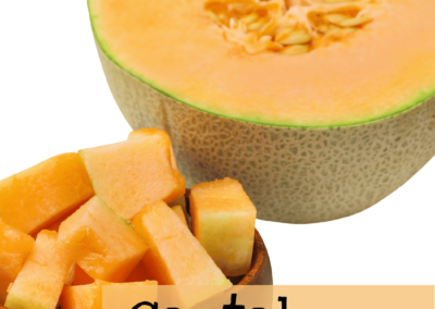 Cantaloupe Hale's Best Jumbo