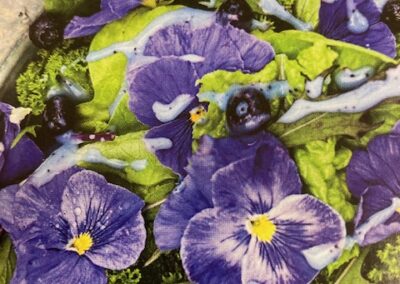 Pansy Celestial Blue