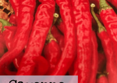 Pepper Hot Cayenne Long Slim Red